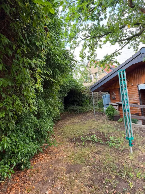 Vorher: Zugewachsener Gartenweg neben einem Gartenhaus